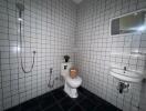 Modern bathroom with black and white tiled walls and floor