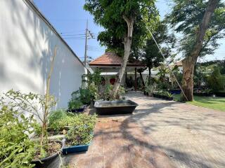 Spacious garden area with trees and plants