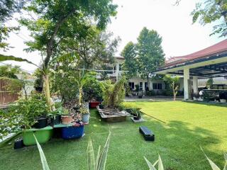 Spacious garden with plants and trees