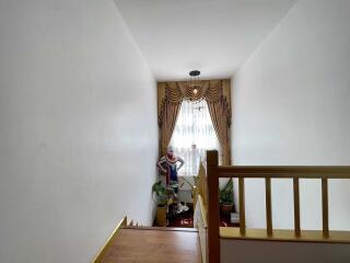 Staircase with window and plants