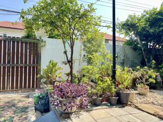 a well-maintained garden with various potted plants