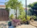 a well-maintained garden with various potted plants