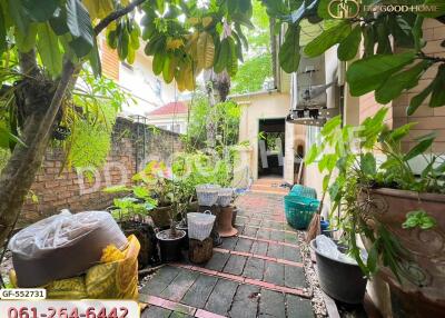 Outdoor garden area with potted plants and greenery