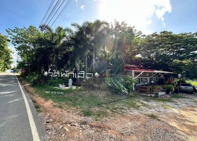 Side view of a small, single-story building surrounded by vegetation with a road on the left side