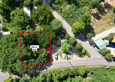 Aerial view of a land plot surrounded by greenery