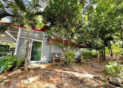 Exterior view of a house surrounded by trees