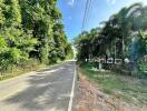 road through a forested area