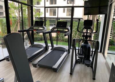 Residential gym with modern exercise equipment