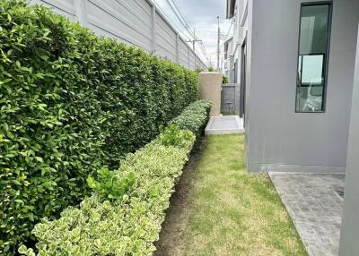 Side view of the house with garden