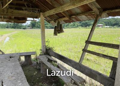 4 Rai Land for Sale and Mountain View in Chiang Rai