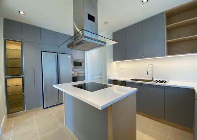 Modern kitchen with island and built-in appliances