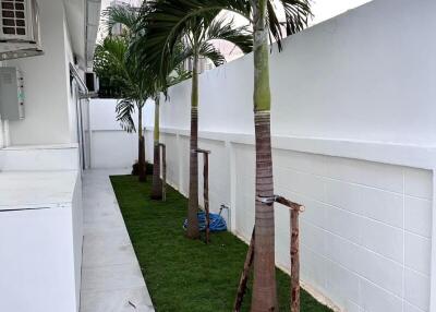 Narrow outdoor space with palm trees and white walls