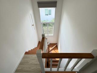 View of a modern staircase with wooden steps and a handrail leading to a window with natural light