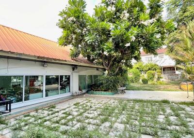 Spacious yard with greenery and patio