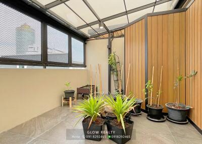 Spacious balcony with plants and seating under a transparent roof