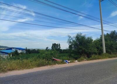 Outdoor scene with road and greenery