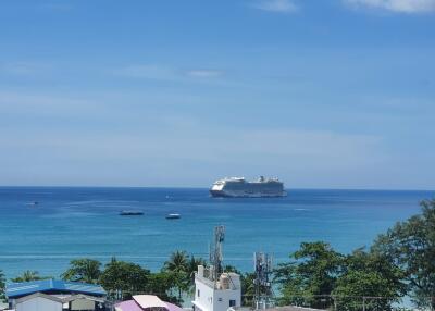 Ocean view with a cruise ship in the distance