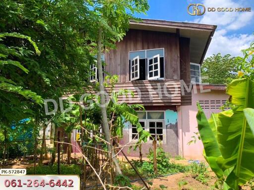 Exterior view of a two-story house with garden