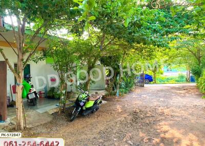 Outdoor area with greenery and parked motorcycle