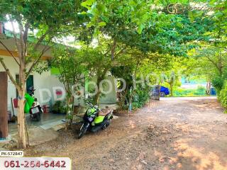 Outdoor area with greenery and parked motorcycle