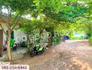 Outdoor area with greenery and parked motorcycle