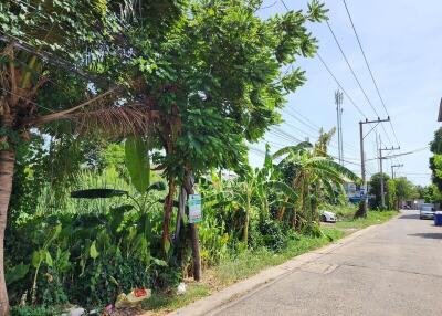 Street view with greenery