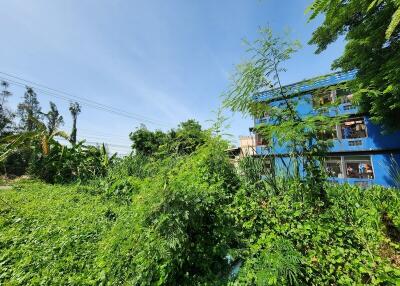 View of the building and surrounding greenery