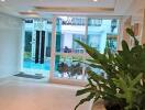 Bright lobby area with a large plant and view of an outdoor pool