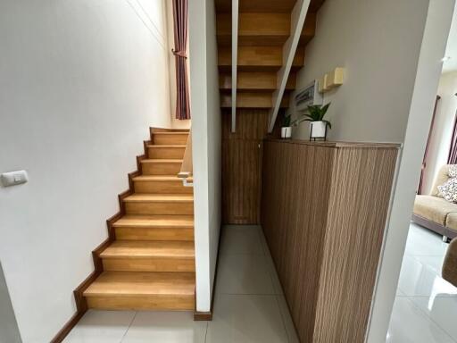 Well-lit wooden staircase with storage and decorative plants