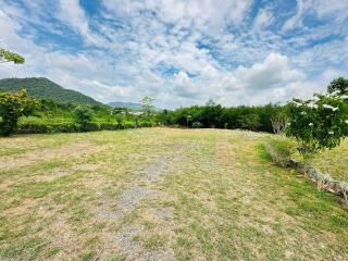 Spacious lawn with scenic mountain and sky view