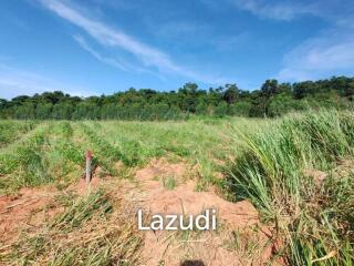 25 Rai 350 SQ.W. Land Nearby Bangsaray Beach