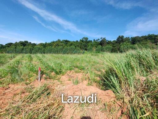 25 Rai 350 SQ.W. Land Nearby Bangsaray Beach