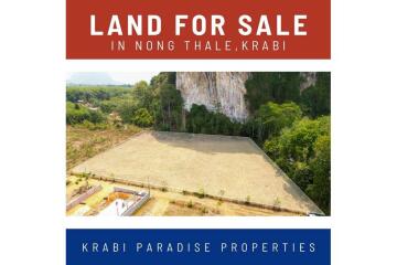 FOR SALE ‼️ AMAZING MOUNTAIN VIEWS LAND PLOT IN NONG THALE.