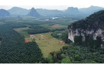 FOR SALE ‼️ AMAZING MOUNTAIN VIEWS LAND PLOT IN NONG THALE.