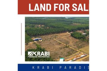 FOR SALE ‼️ AMAZING MOUNTAIN VIEWS LAND PLOT IN NONG THALE.