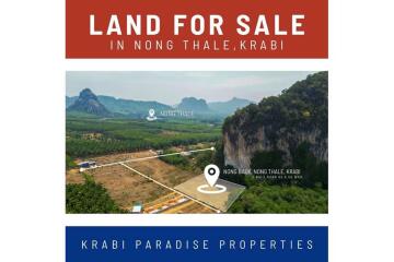 FOR SALE ‼️ AMAZING MOUNTAIN VIEWS LAND PLOT IN NONG THALE.