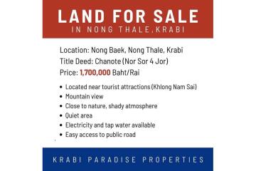 FOR SALE ‼️ AMAZING MOUNTAIN VIEWS LAND PLOT IN NONG THALE.