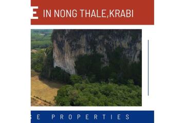 FOR SALE ‼️ AMAZING MOUNTAIN VIEWS LAND PLOT IN NONG THALE.