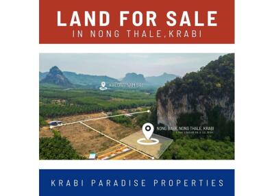 FOR SALE ‼️ AMAZING MOUNTAIN VIEWS LAND PLOT IN NONG THALE.