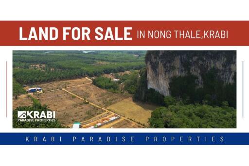 FOR SALE ‼️ AMAZING MOUNTAIN VIEWS LAND PLOT IN NONG THALE.