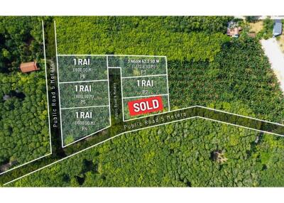 Land for Sale in Krabi