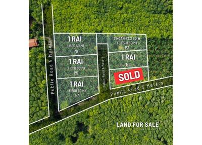 Land for Sale in Krabi