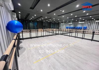 Empty modern studio with wooden railings and blue exercise balls