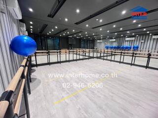 Empty modern studio with wooden railings and blue exercise balls