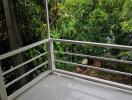 Outdoor balcony with a view of lush greenery