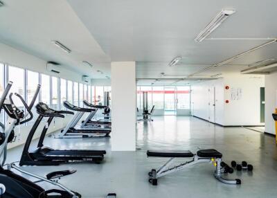 Gym with various workout equipment, including treadmills and weights