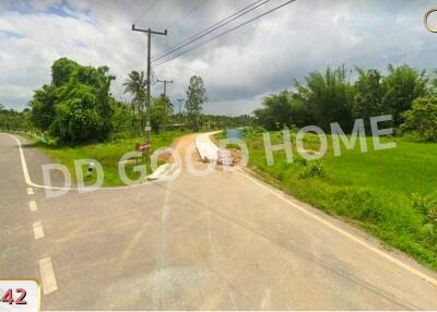 Road and greenery view