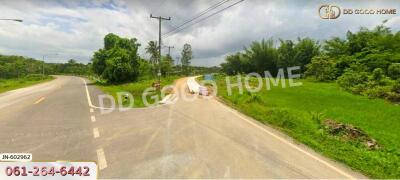 Road and greenery view