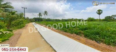 Scenic outdoor view with pathway