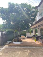 Spacious outdoor patio with lush greenery and comfortable seating